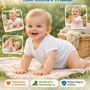 Body Infantil Pequeno Paleontólogo